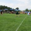 34-Wiffleocity vs. Sneaky Peeks