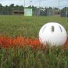 59-Wiffle fields are set for the semifinals and final