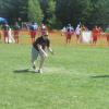 15-Still Scared Hitless